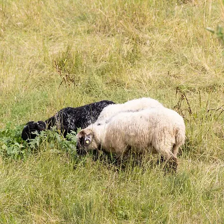 Farma Biohof Beim Danner