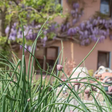 Farm stay Beim Danner