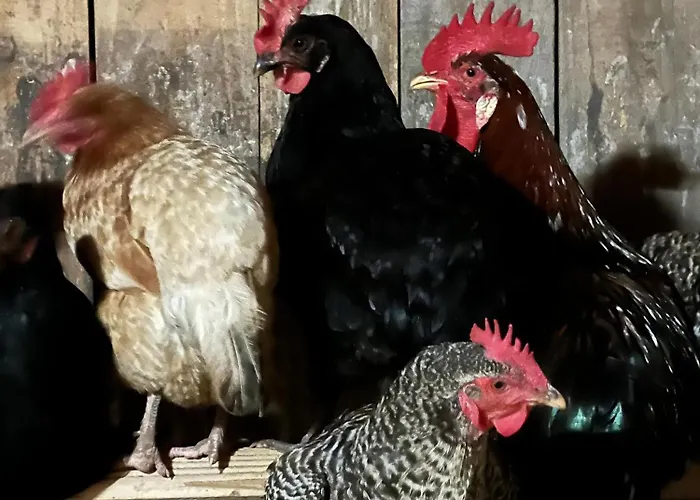 Beim Danner * Riedering