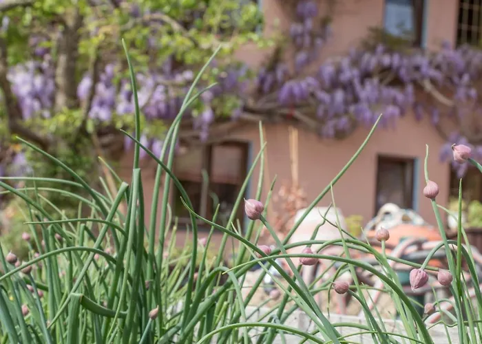 Vakantieboerderij Beim Danner